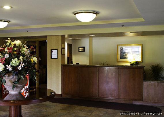 Holiday Inn Baltimore BWI Airport, An Ihg Hotel Linthicum Εσωτερικό φωτογραφία